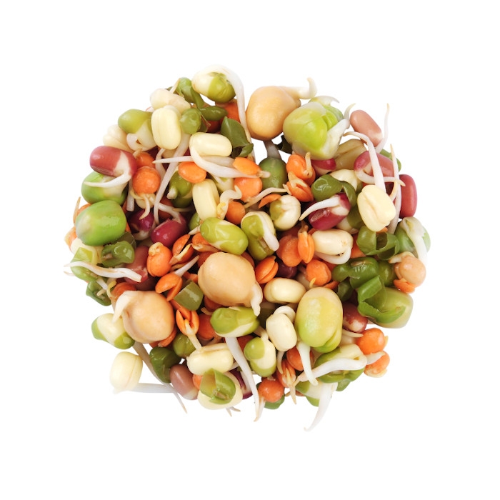 Organic sprouted bean mix
