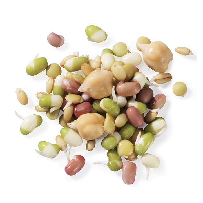 Sprouted bean mix
